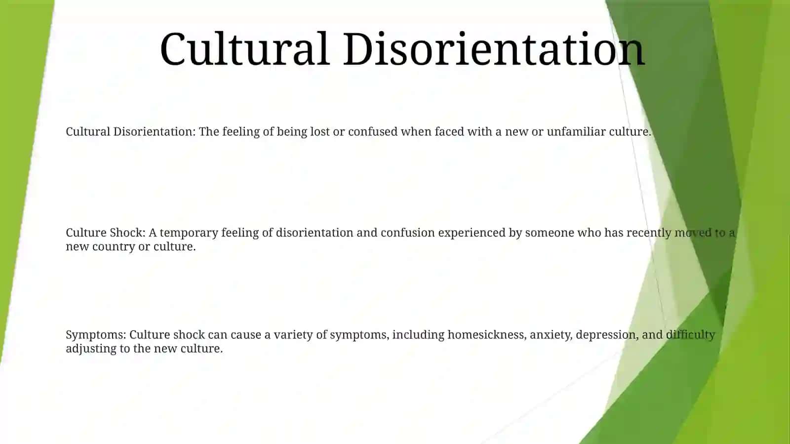 Culture Shock 2