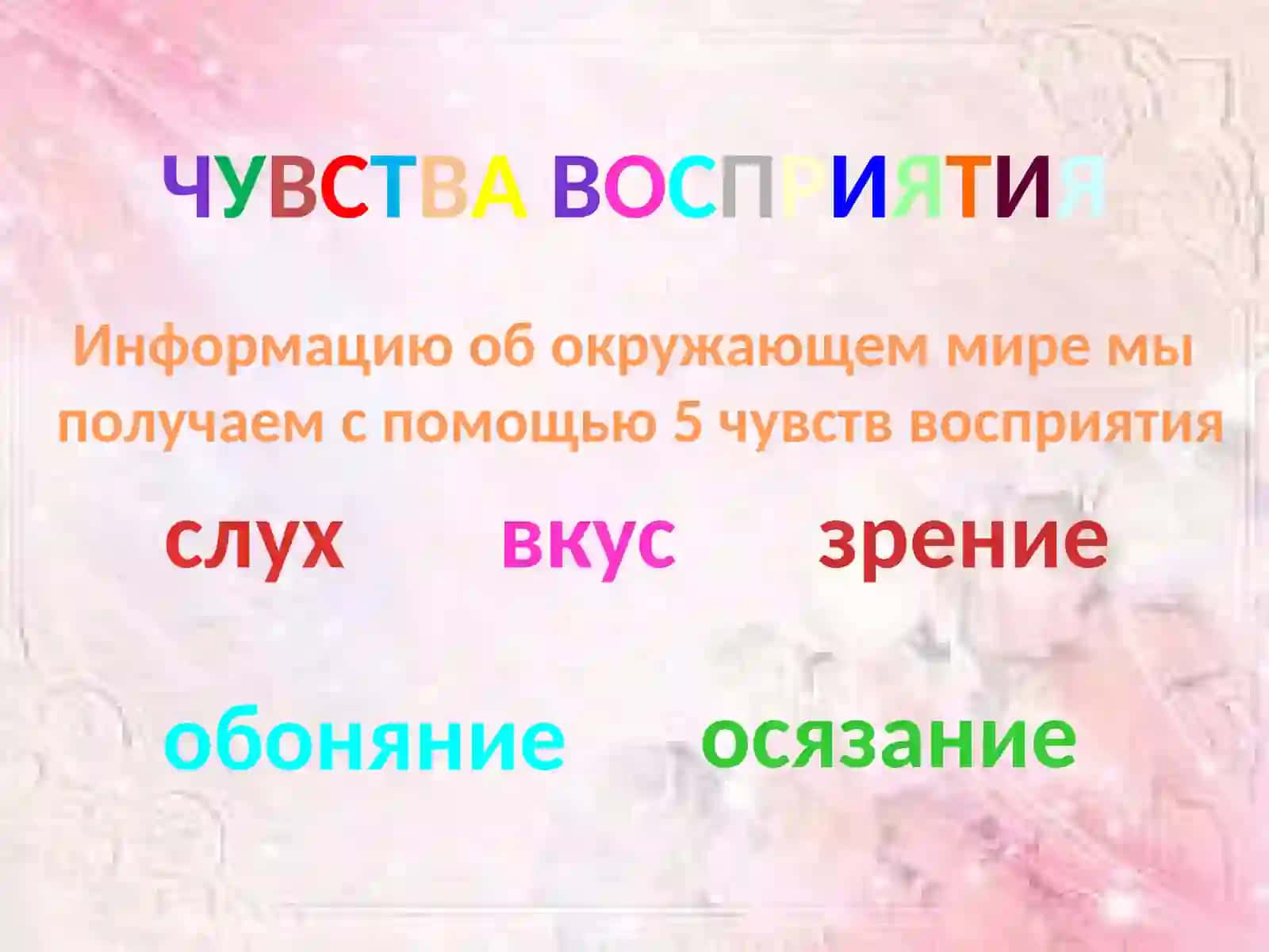 ОРГАН ВКУСА 2