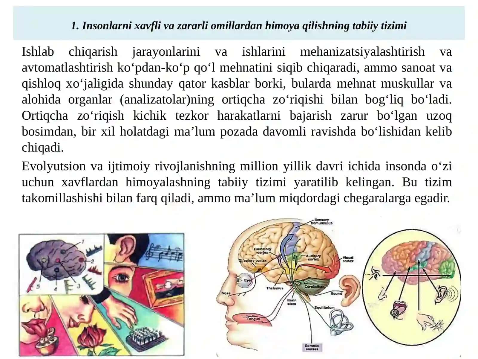 Odam tanasining analizatorlari 2
