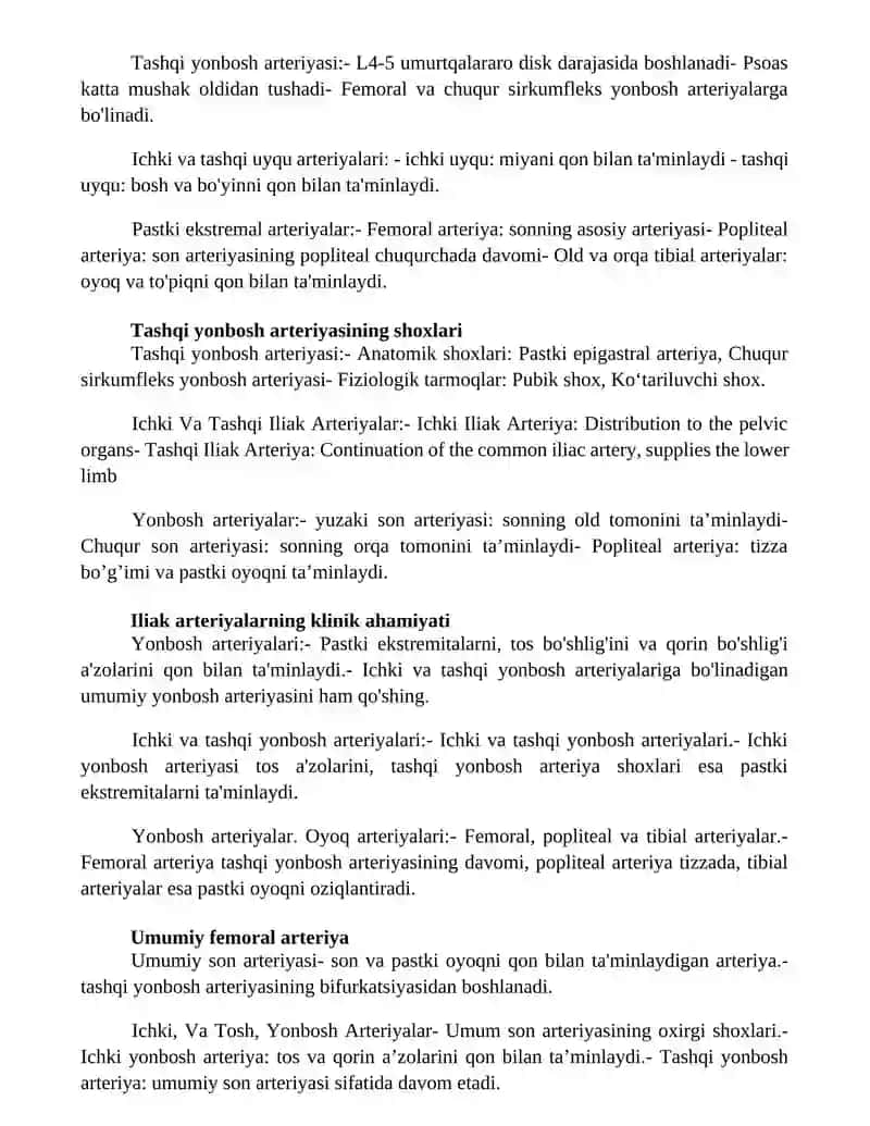 Ichki Va Tashqi, Yonbosh Arteriyalar 2