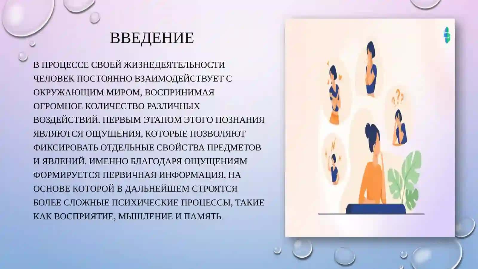 Ощущение и чувствительность 2