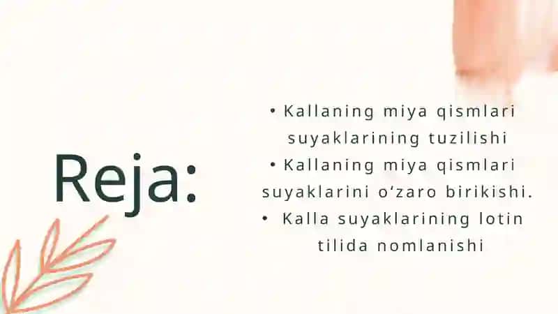 Kallaning miya qismi suyaklari 2