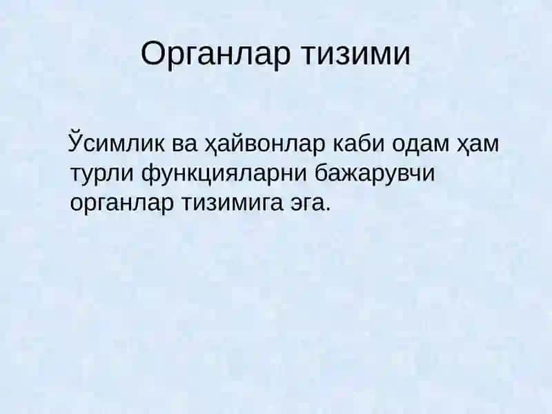 Одам органлар тизими 2