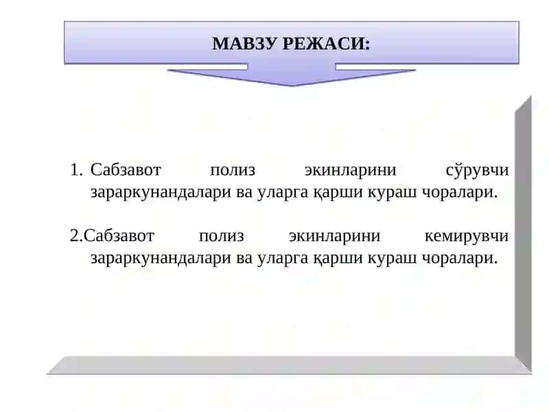 Сабзавотполизэкинлари 2