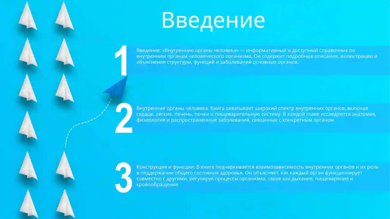 Внутренние органы человека 2