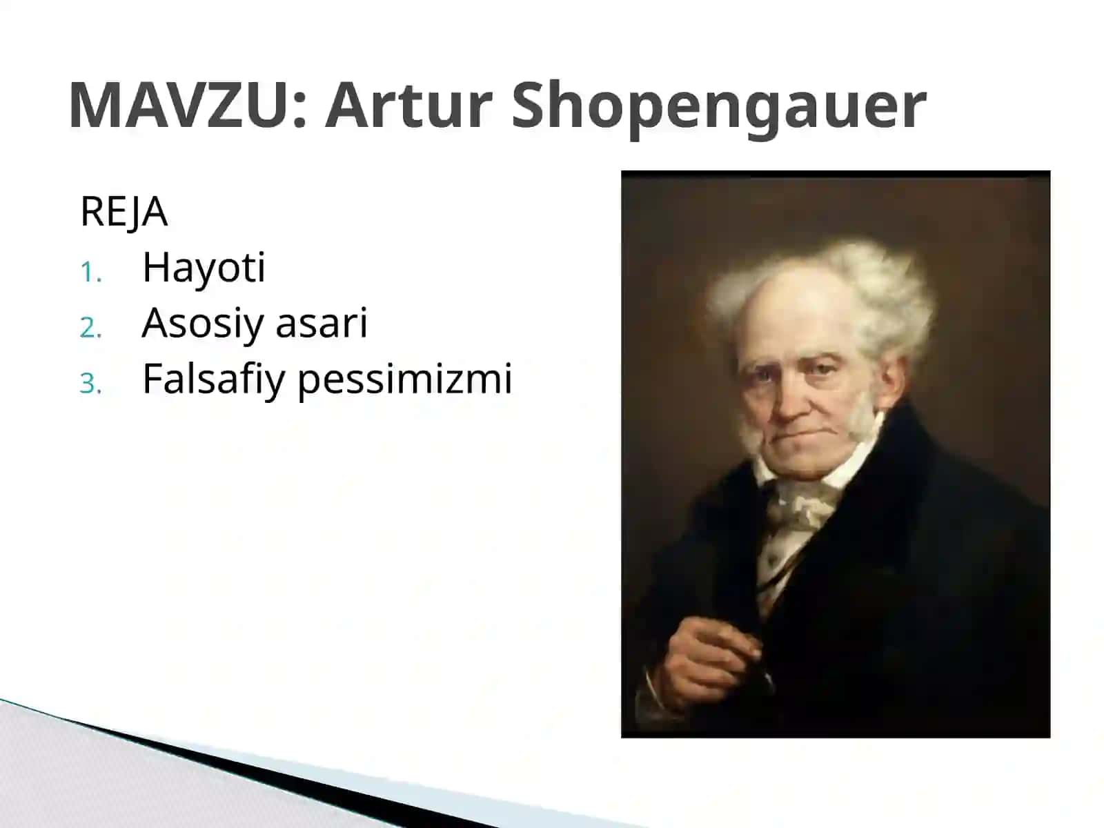 Artur Shopengauer 2