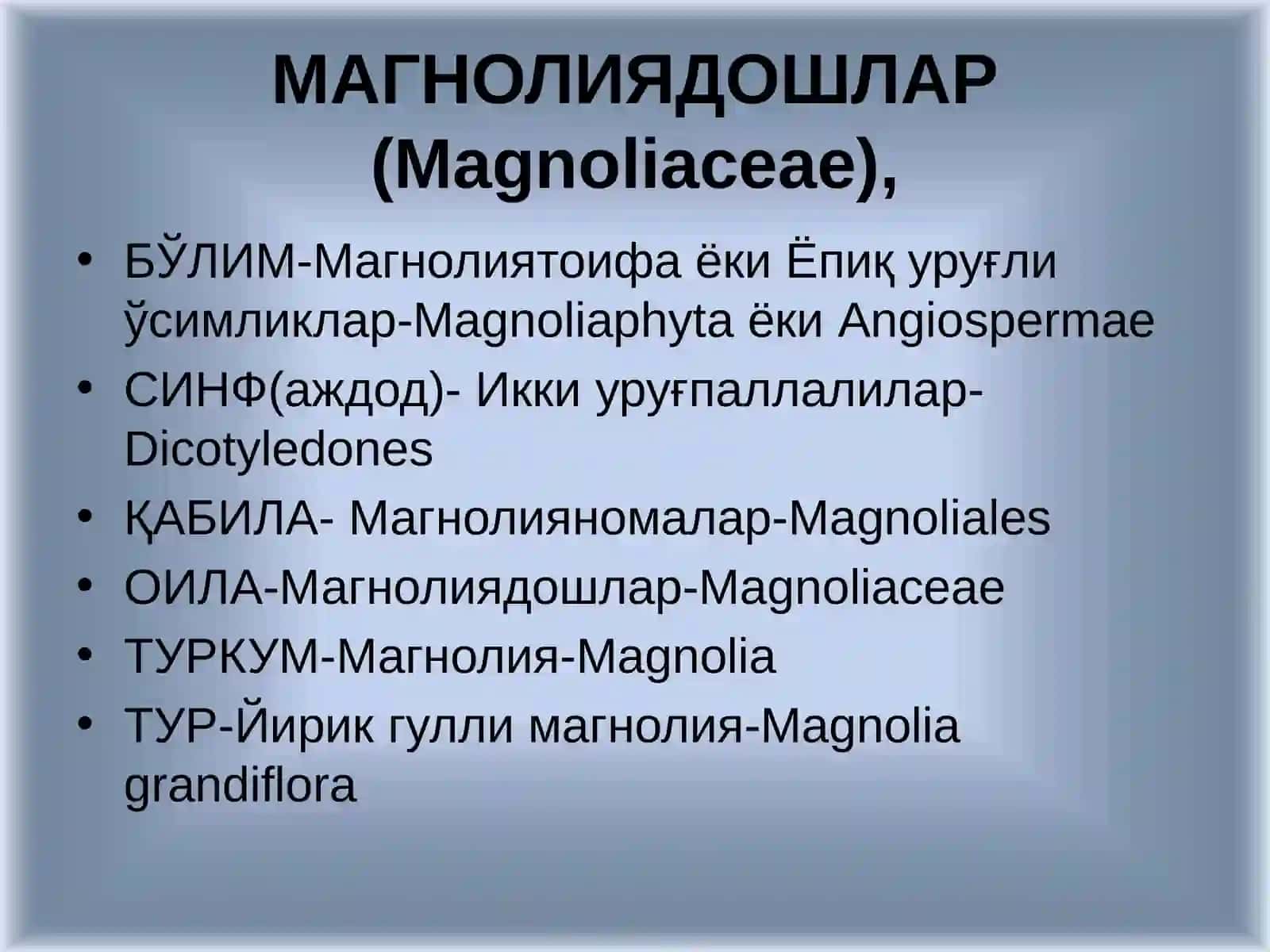 Магнолиядошлар (Magnoliaceae) 2
