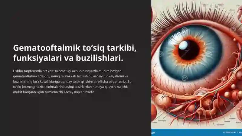 Gematooftalmik to‘siq tuzilishi tarkibi va buzilishlari 2