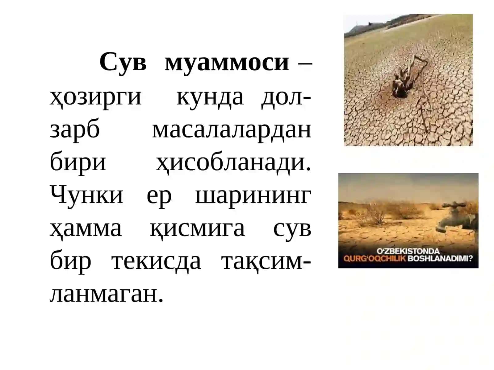 ЎРМОН ВА НАМЛИК 2