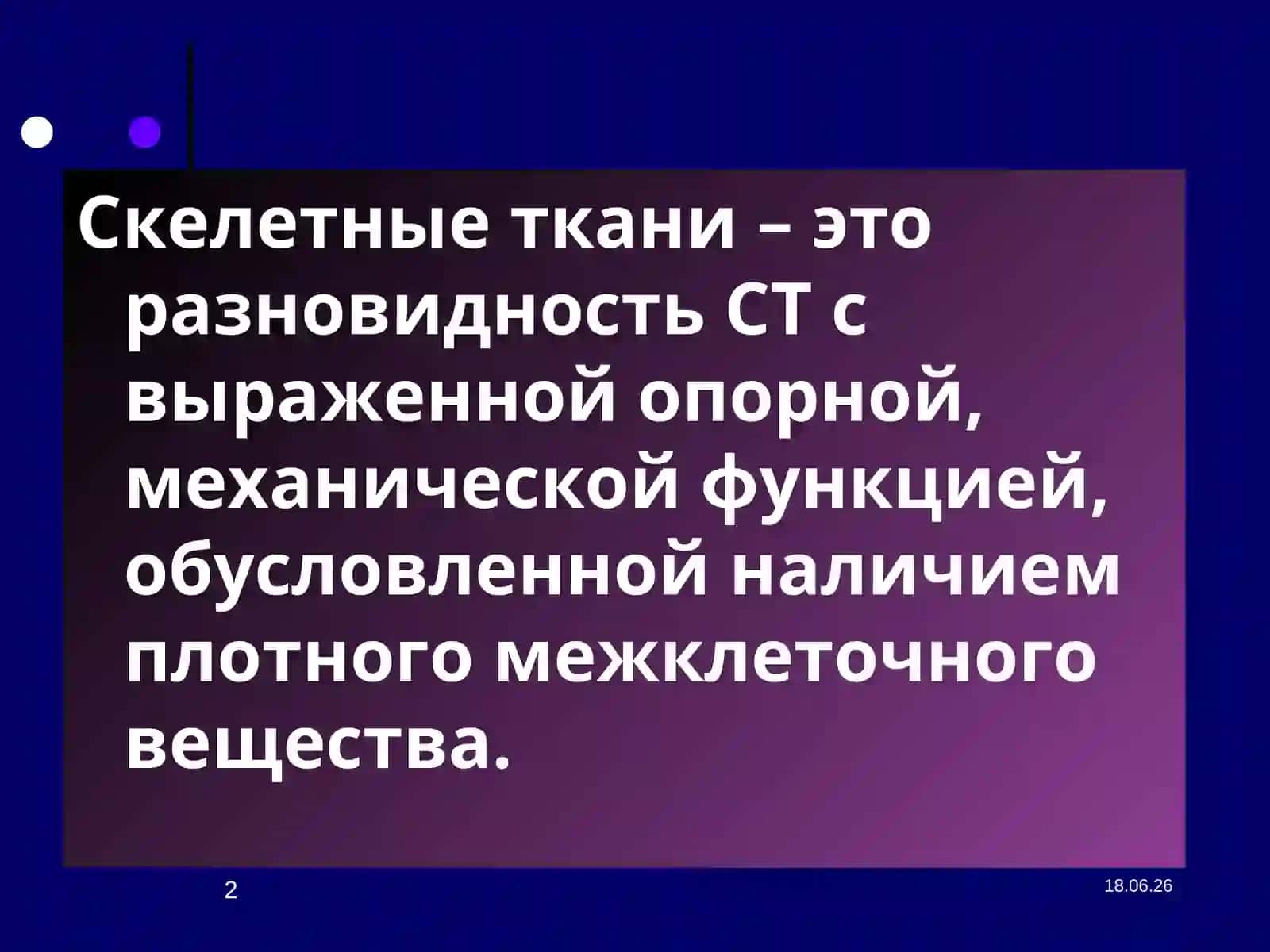 Лекция №6Скелетные ткани 2