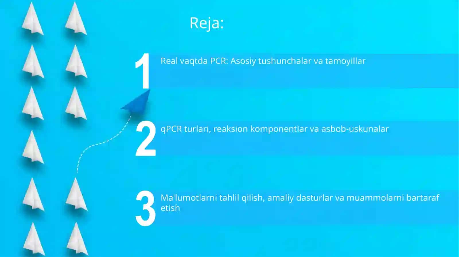 Real time PCR 2