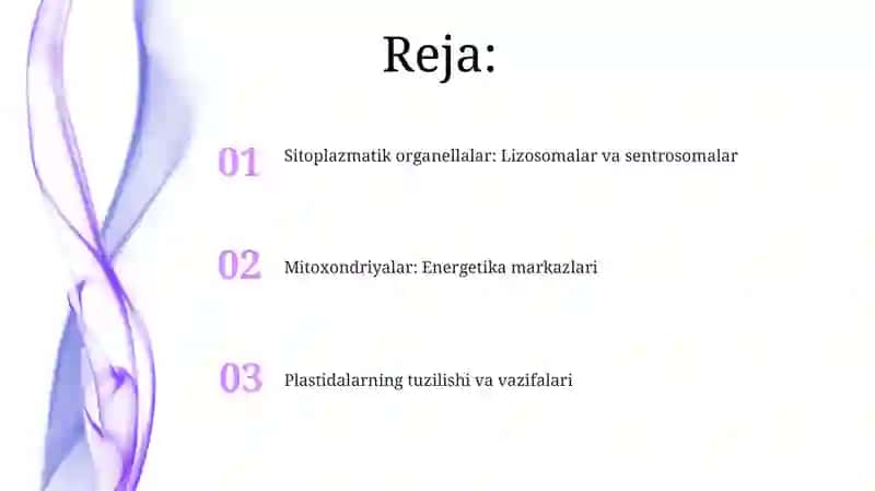 Sitoplazmatik organellalar: Lizosomalar va sentrosomalar 2