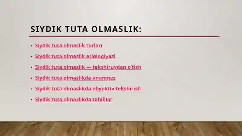 Siydiktutaolmaslik 2