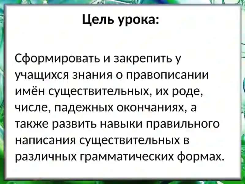 Правописание суффиксов имен существительных 2