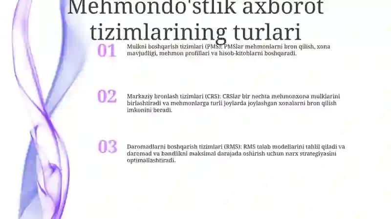 Mehmondo'Stlik Axborot Tizimlarining Turlari 2