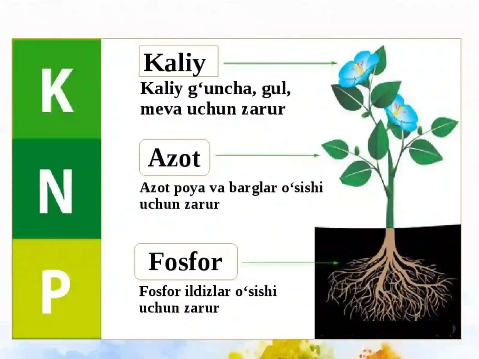 Kaliyli va murakkab o’g’itlar 2