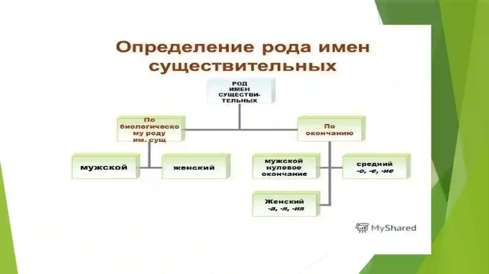 Определение рода имен существительных 2
