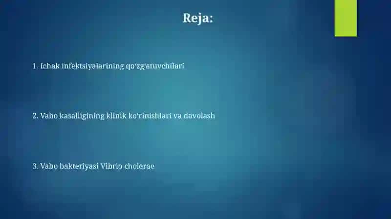 Ichak infeksiya qoʻzgʻatuvchilari. Vabo Komilov Asadbek 2