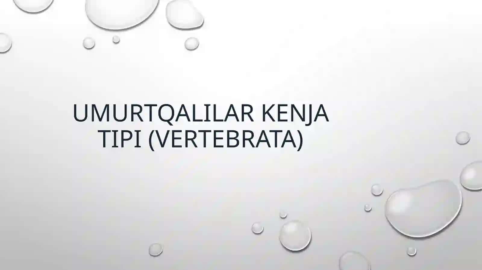 Umurtqalilarkenjatipi (Vertebrata) 2