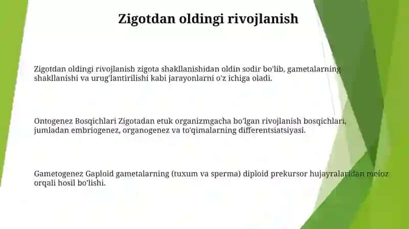 Ontogenez Bosqichlari 2