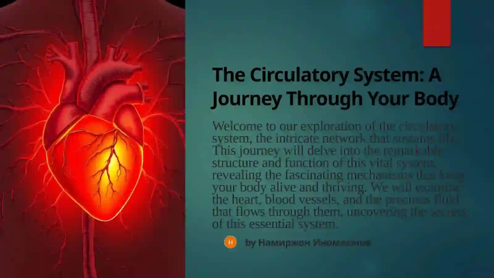 The Circulatory System: A Journey Through Your Body 2
