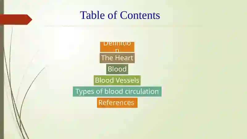 Circulation of blood 2