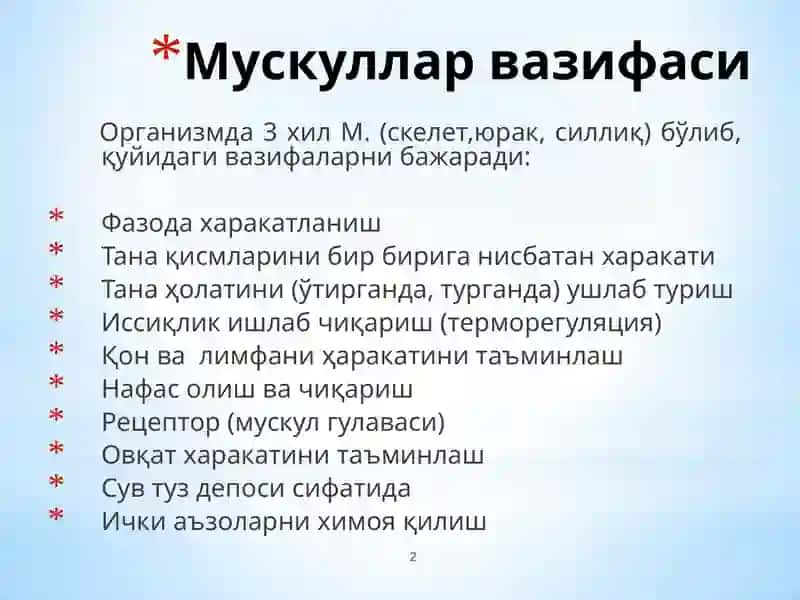 Мускулфизиологияси 2