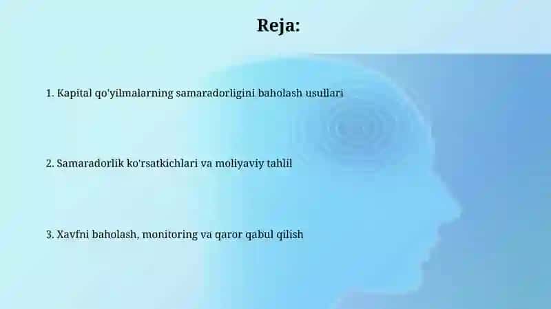 Kapital qo'yilmalar samaradorligini Tahlili 2