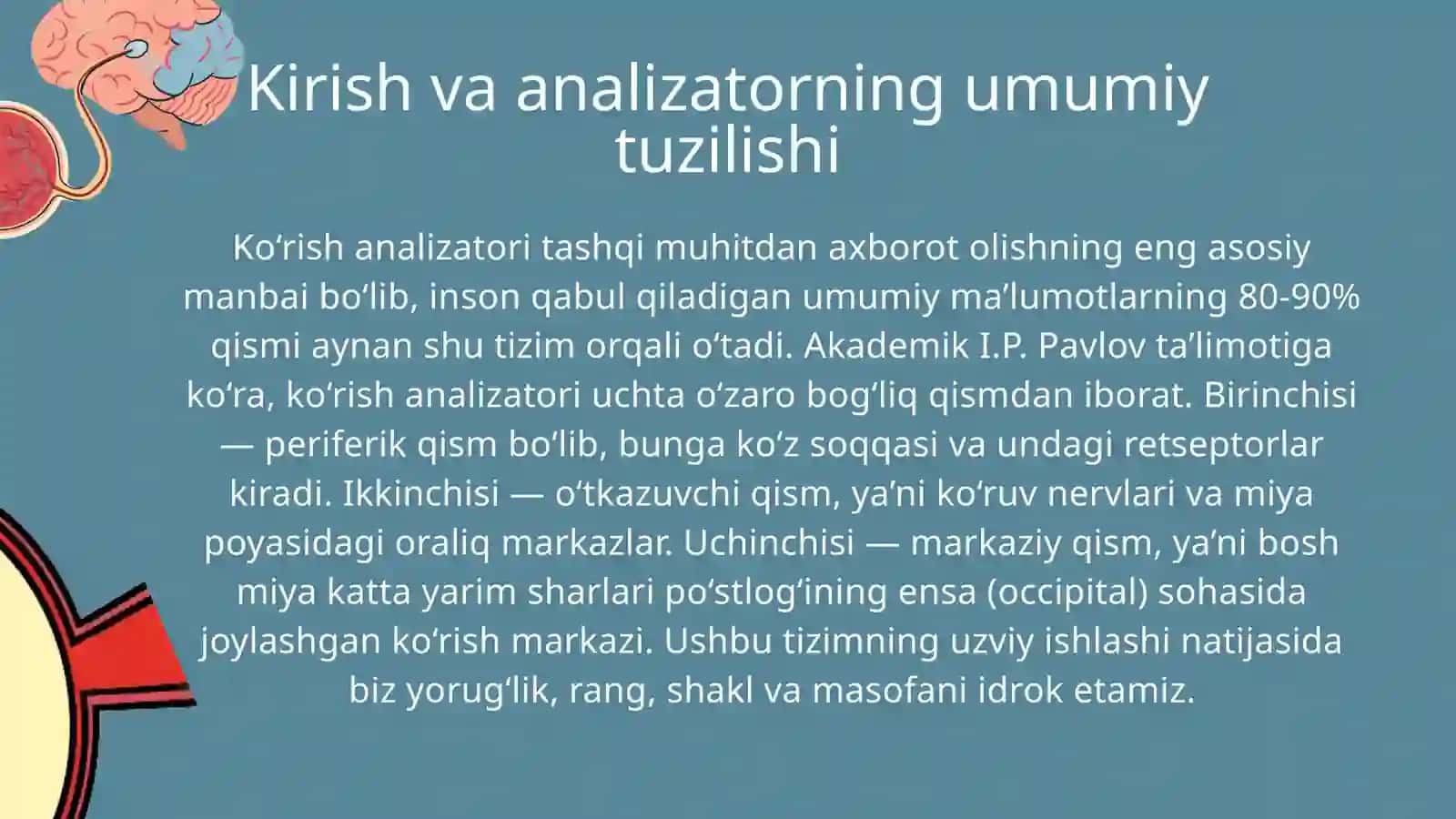 Koruv analizatori. Kozning optik va retseptor tizimi. 2