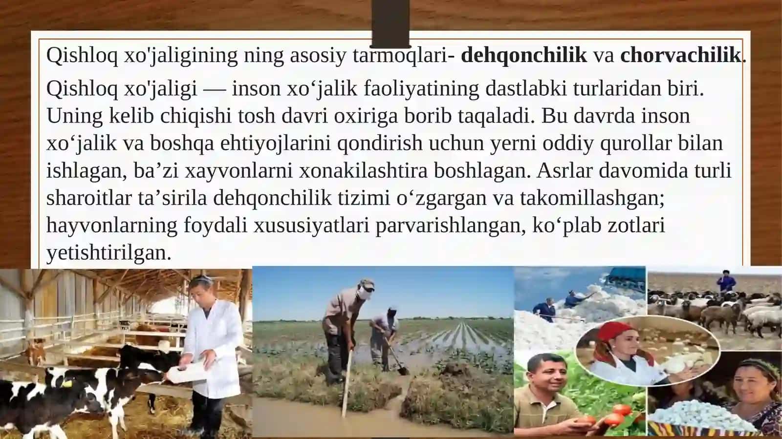 Qishloq xo’jaligi 2