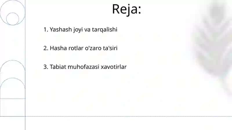 Hashoratlar ekologiyasi 2