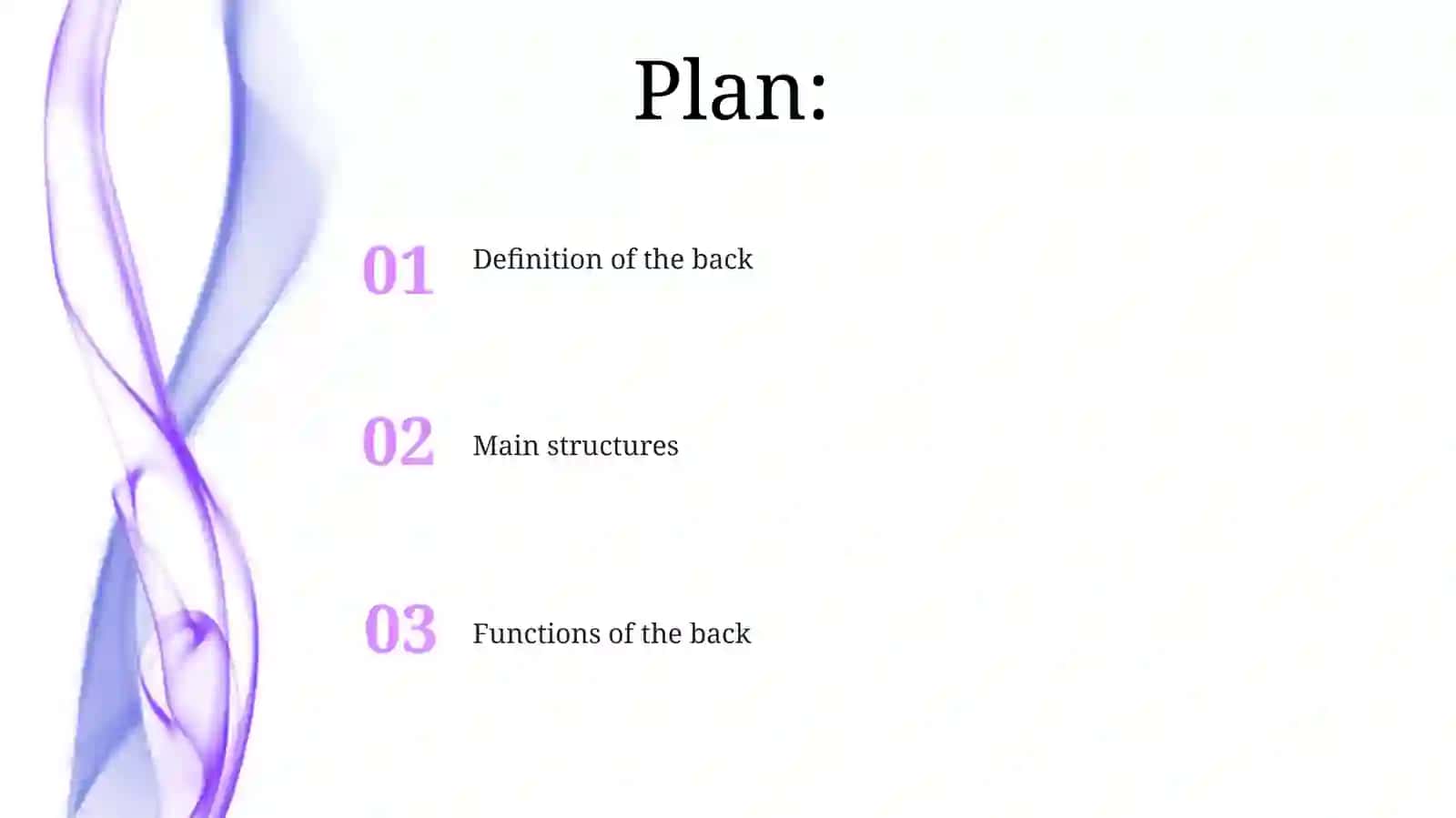 Presentation on the Back 2