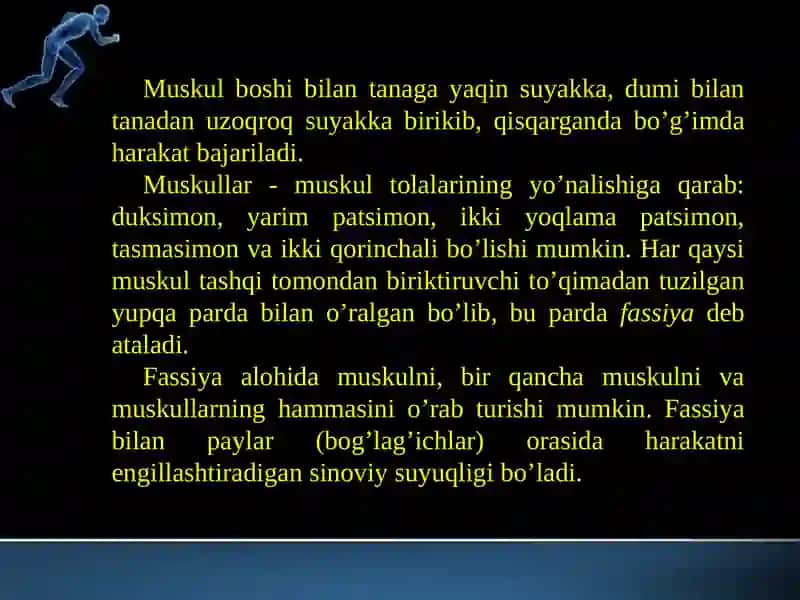 Qo’l va oyoq muskullarining tuzilishi 2