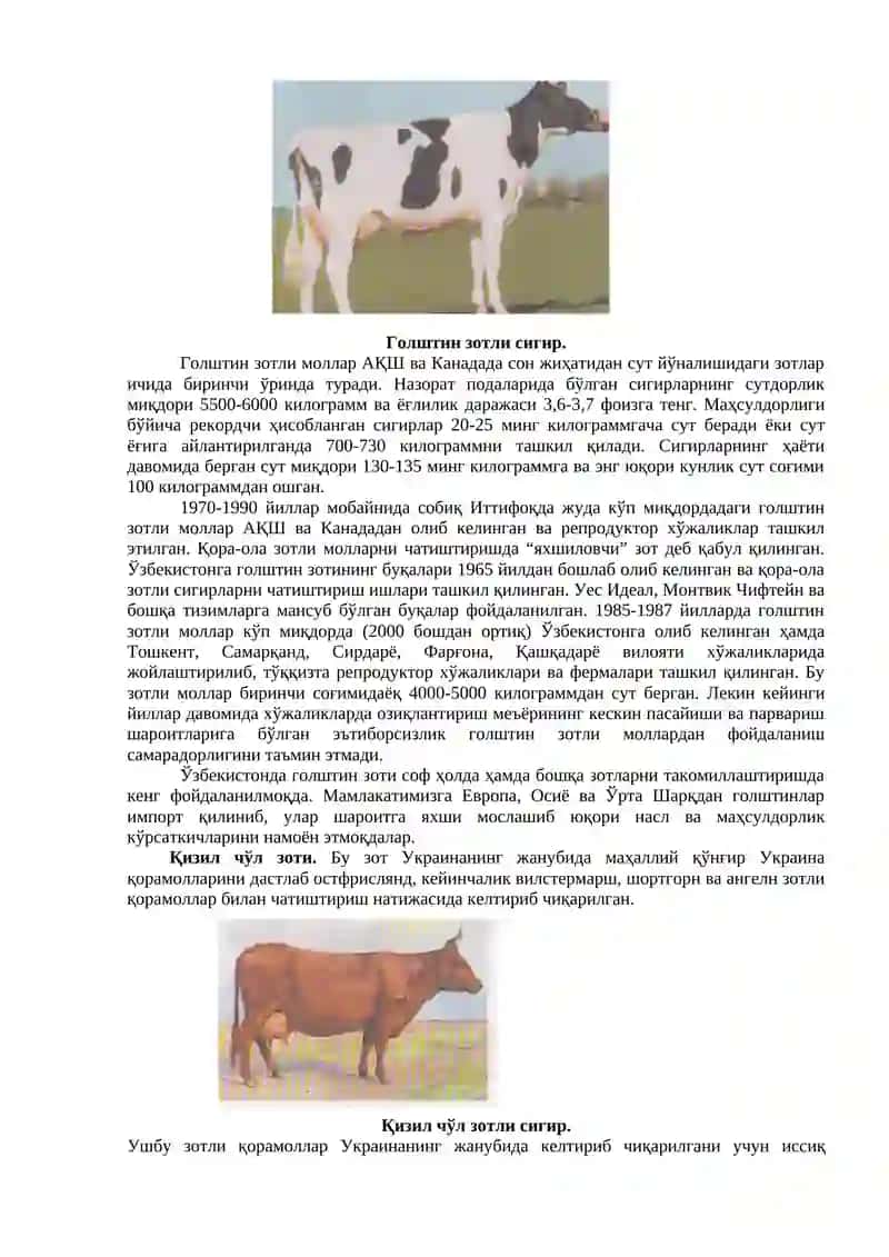 Қорамол зотлари 2