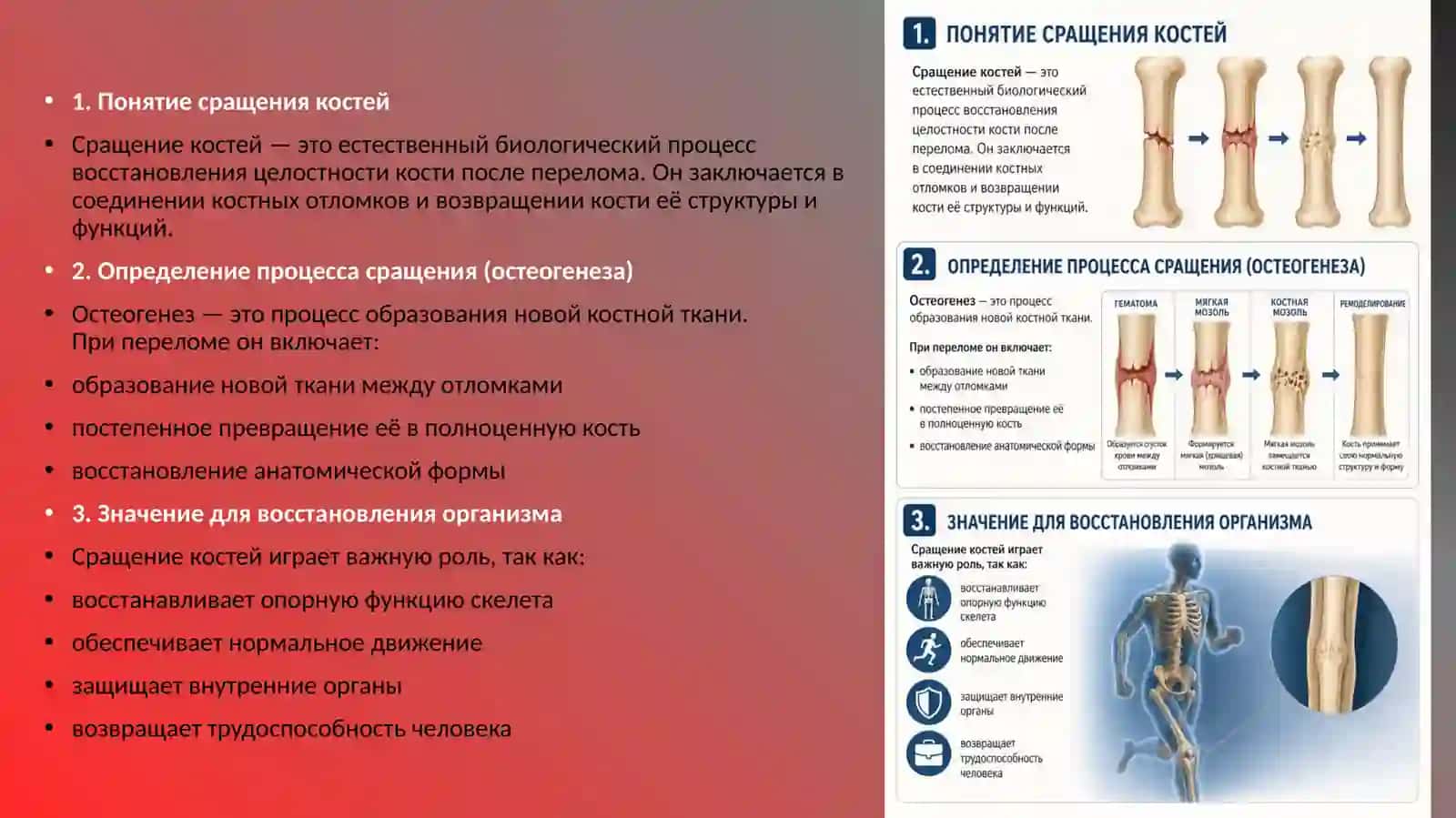 Виды сращение костей 2