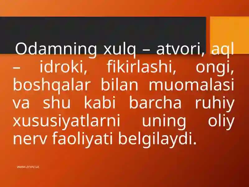 Nerv Faoliyati tiplari 2