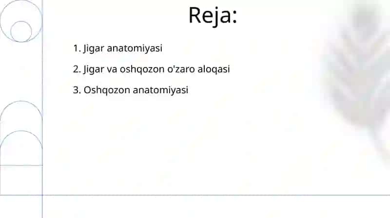 Jigar va oshqozon anatomiyasi 2