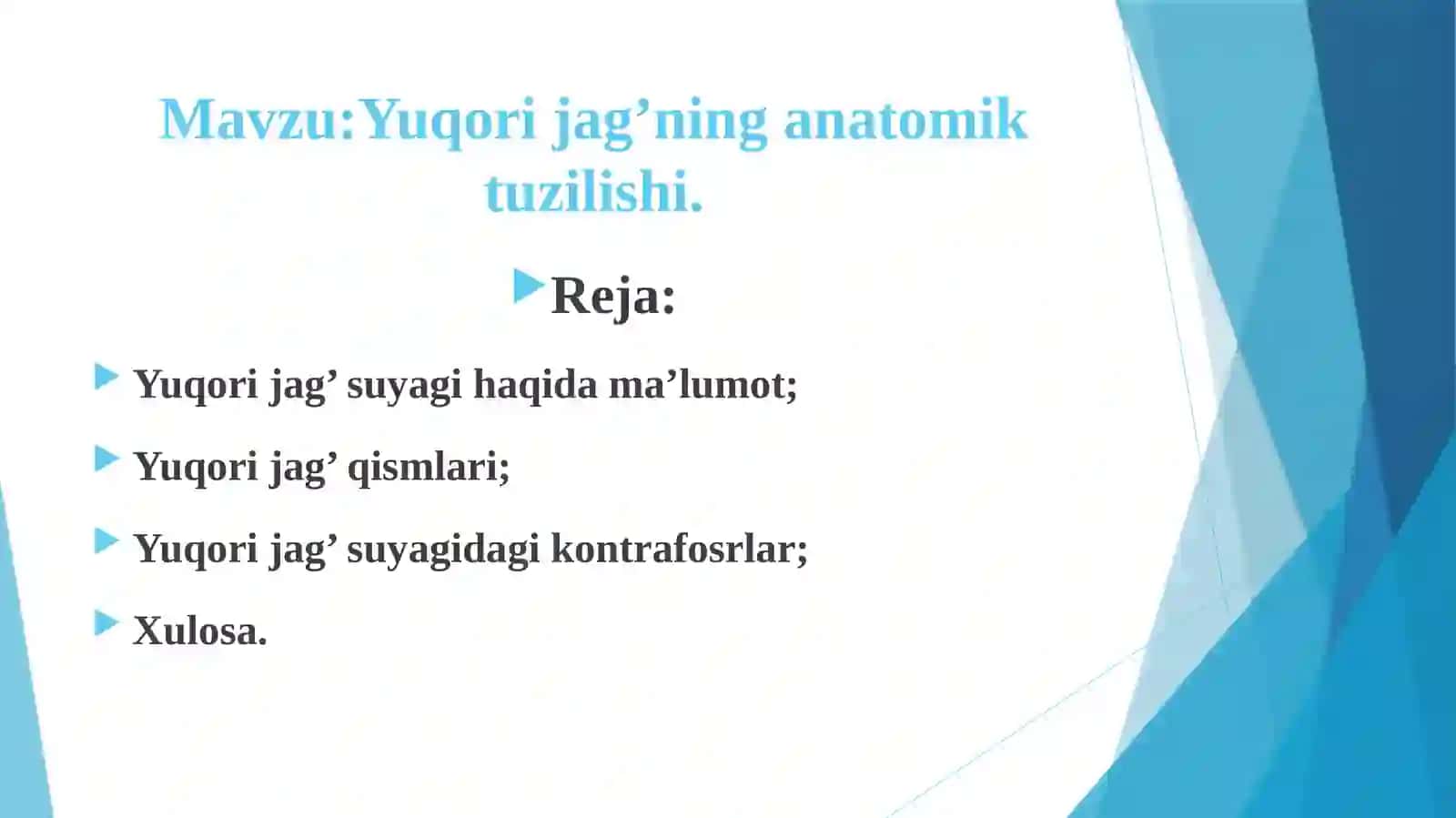 Yuqori jag’ning anatomik tuzilishi. 2