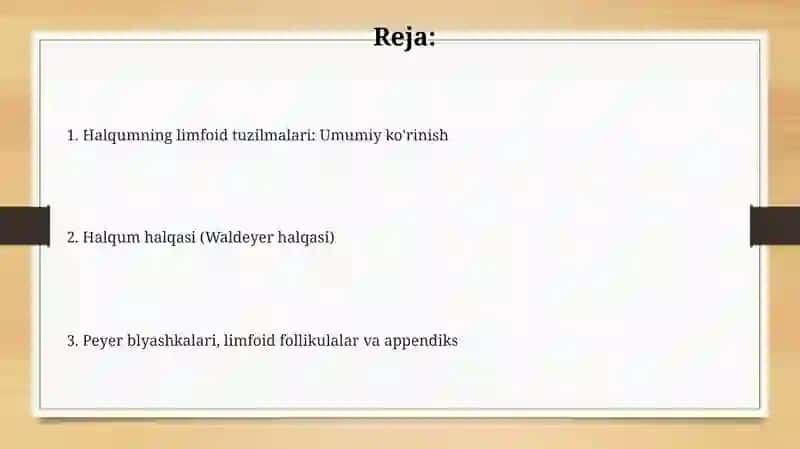 Hazm nayining limfoid tuzilmalari 2