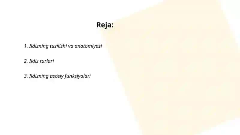 O'simliklarning vegetativ organlari 2