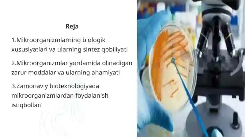 Mikroorganizmlardan zarur moddalar sintezlab olish 2