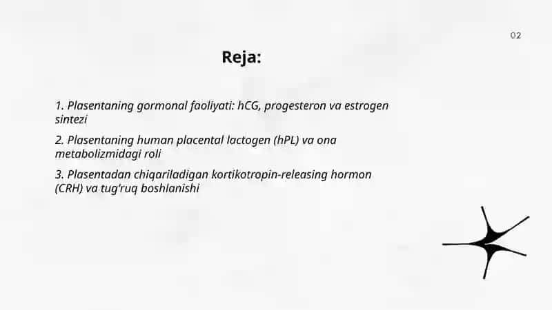 Platsenta, jigar, Yuraklarning endokrin faoliyati 2