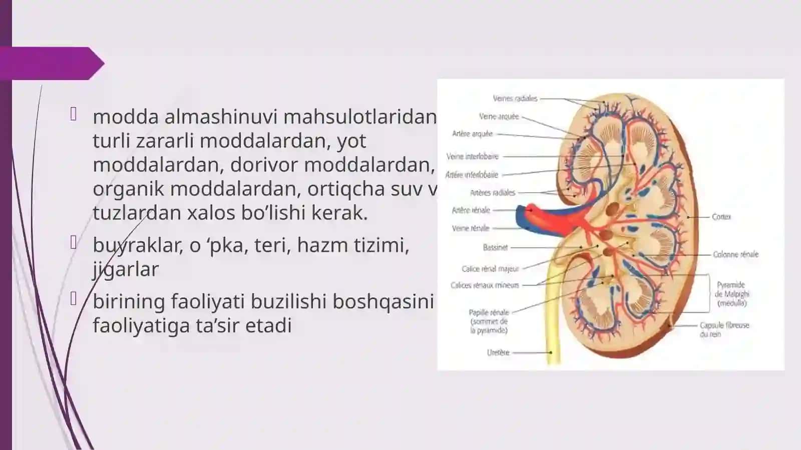 ayirish sistemasi 2