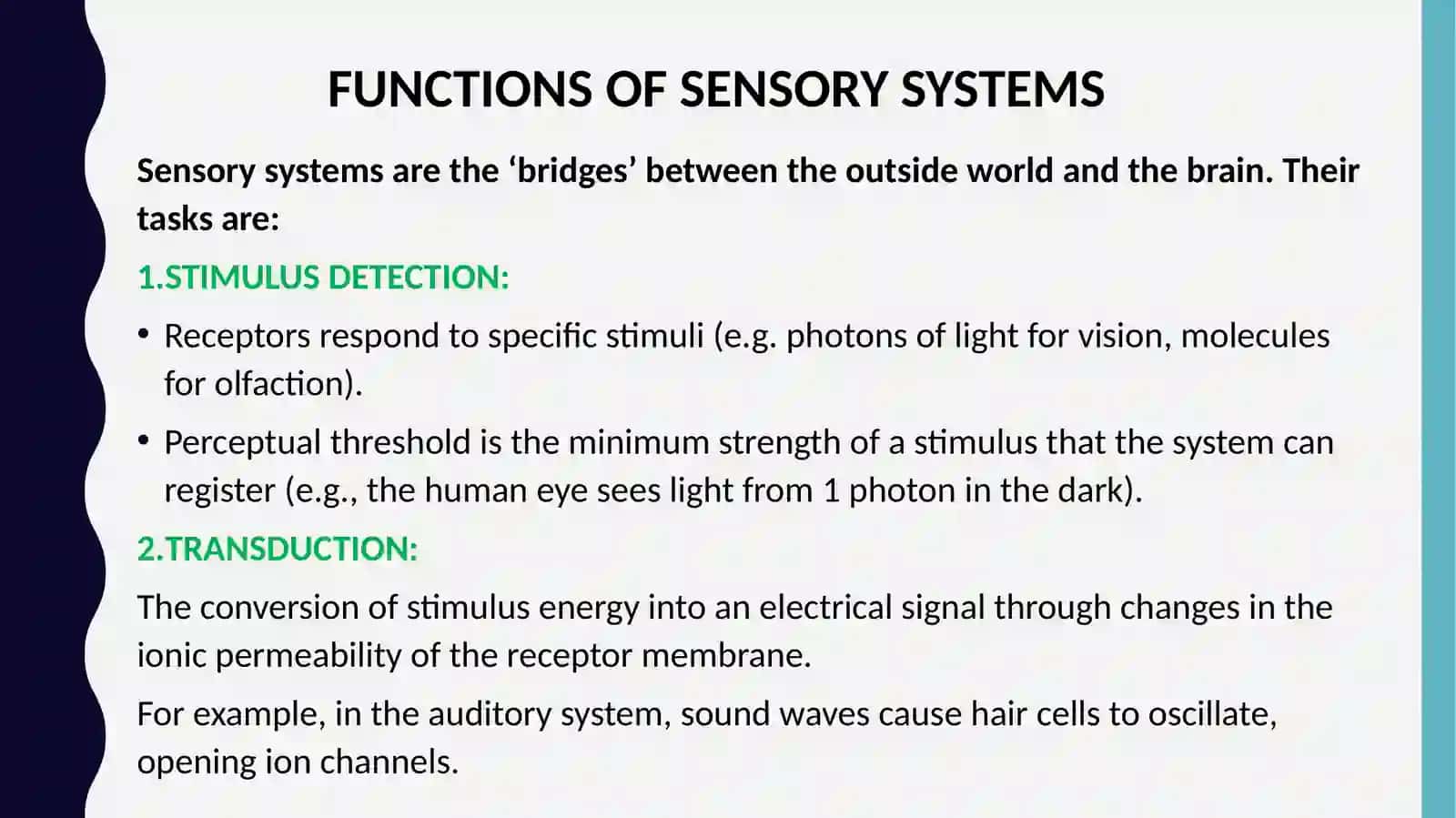 Physiology of Sensory Systems 2