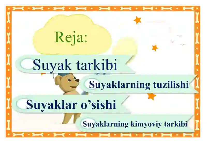 Suyaklarning tuzilishi va o’sishi 2