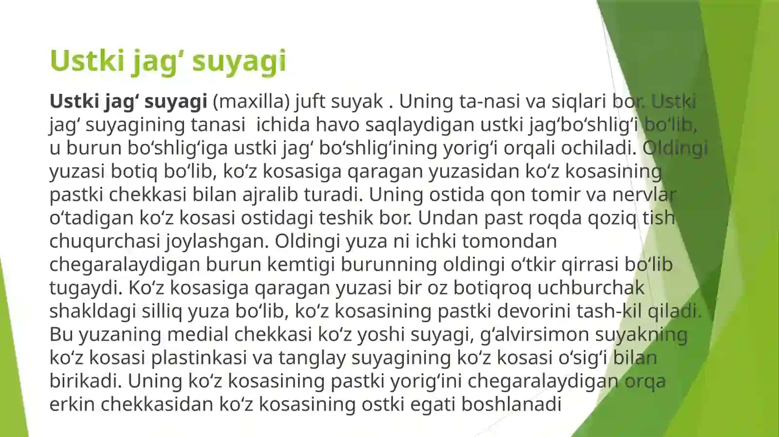 Ustkijag‘suyagi 2