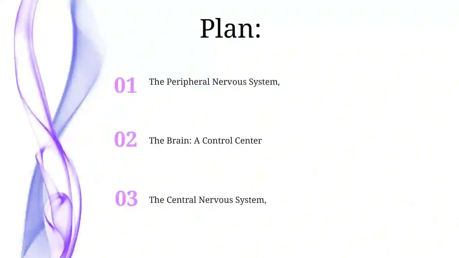 The Brain's Structure and Function 2