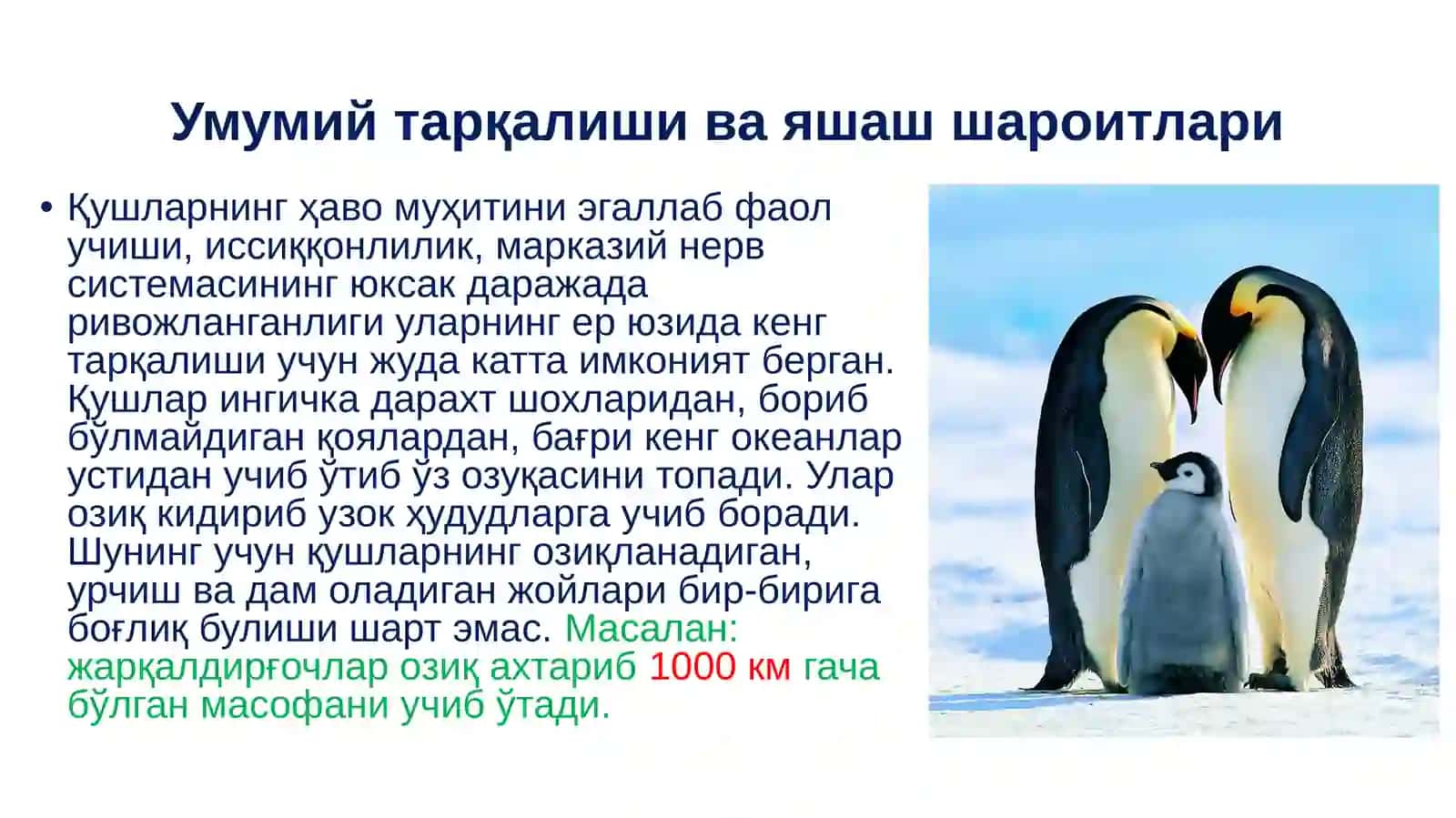 Қушлар экологияси 2
