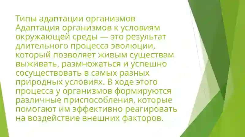 Самостоятельная работа 1 2