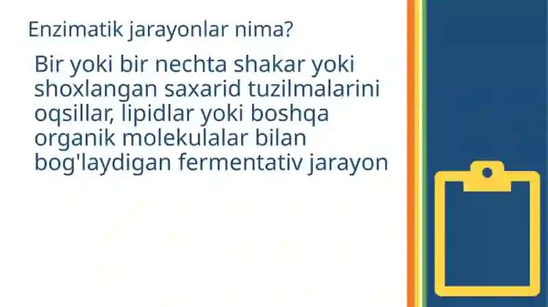 Bakteriyalarda fermentativ jarayonlar 2